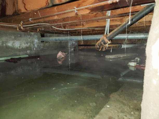 Best Flooded house restoration  in Greencastle, IN