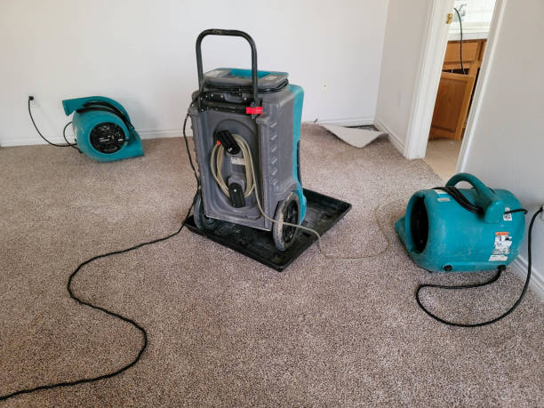 Best Commercial water damage restoration  in Greencastle, IN