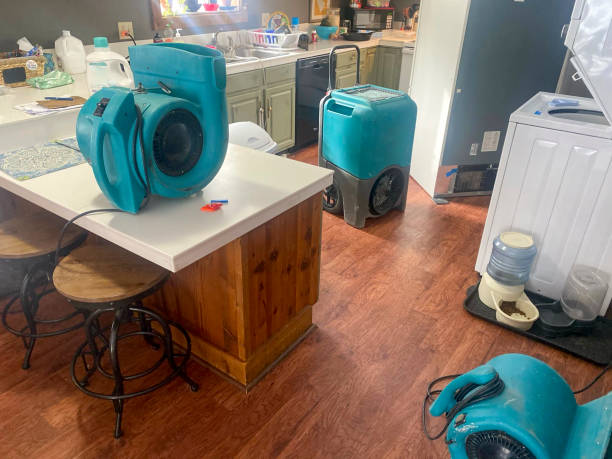 Best Professional water damage repair  in Greencastle, IN