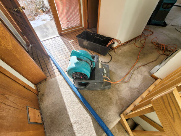  Greencastle, IN Water damage restoration Pros