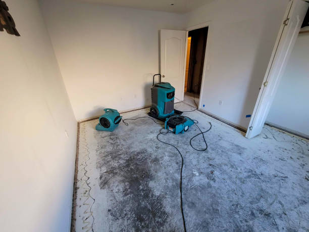 Best Ceiling water damage repair  in Greencastle, IN