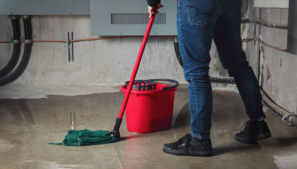 Best Carpet water damage restoration  in Greencastle, IN