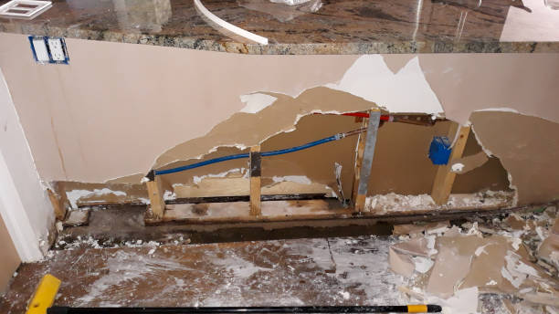 Best Water damage cleanup near me  in Greencastle, IN