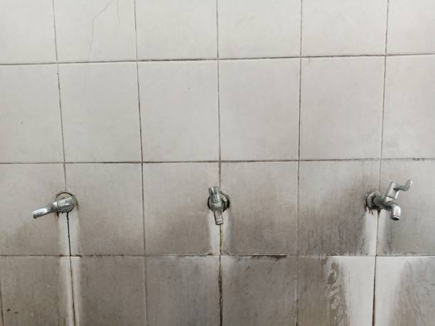 Best Water damage restoration insurance claims  in Greencastle, IN