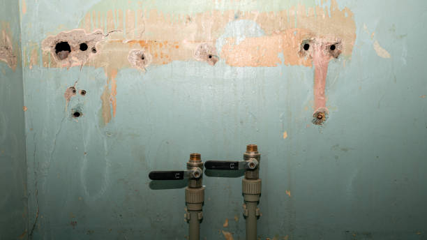 Best Local water damage restoration  in Greencastle, IN
